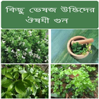 কিছু ভেজষ উদ্ভিদের ঔষধী গুন আইকন