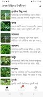 Herbal Plant Medicine Plakat