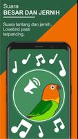 Latihan Suara Lovebird - Master Masteran Lovebird Ekran Görüntüsü 1