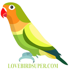 Lovebird Super icône