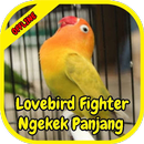 Lovebird Fighter Ngekek Panjang APK