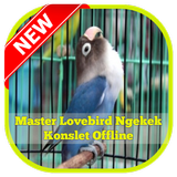 Master Lovebird Ngekek Konslet ícone