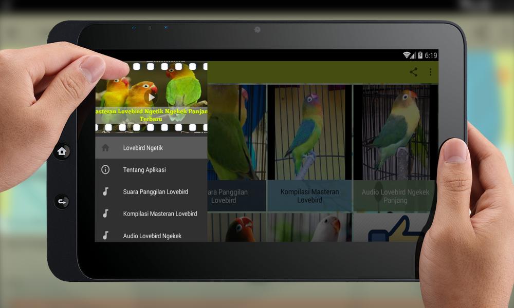 Training Lovebird Pancingan Suara Burung Aplikasi Di Google Play