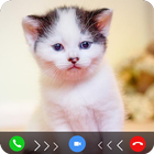 cat fake video call prank أيقونة