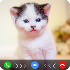 cat fake video call prank icon