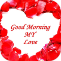 lovely good morning