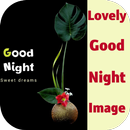 lovely good night image APK