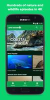 Love Nature Plakat