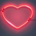 LOVE POEMS TO HERE