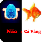 2 Hình 1 Chữ - Đoán Tên Bài Hát ícone