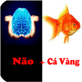2 Hình 1 Chữ - Đoán Tên Bài Hát ícone