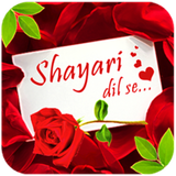 Sad & Love Shayari, Status & Quotes - All Shayari icône