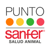 Punto Sanfer APK