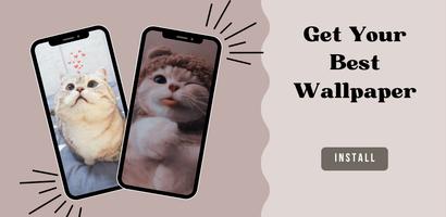 Cute Cat Wallpaper HD 4K Affiche