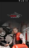Стилберг Авто Poster