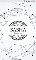 SASHA lounge bar poster