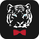 Tayger Pizza Bar APK