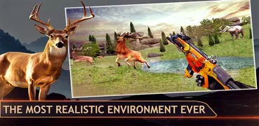 Jungle Deer Animal Hunting 