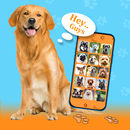 Dog Training Whistle Sounds APK