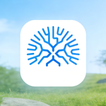 LS TreeMind icon