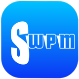 SW project Manager
