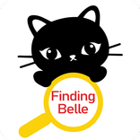 Finding Belle