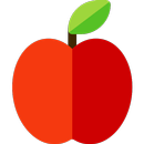 Play Learn APK