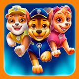 PAW Patrol: Catcher