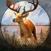 Deer Hunting Animal Shooting