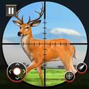 เกมล่าสัตว์ล่ากวาง APK