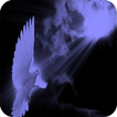 31 Days -The holy spirit