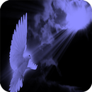 31 Days -The holy spirit APK