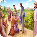Catholic Apologetics APK
