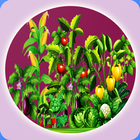 Organic Vegetables Farming biểu tượng