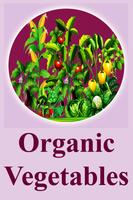 Organic Vegetables Farming ảnh chụp màn hình 3