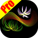 Magic art Pro - Sketch, draw & APK