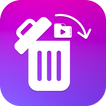Deleted Video Recovery