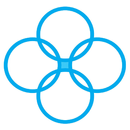 Salveo Coaching APK