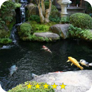 Tanque de peixes APK