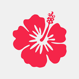 Kauai Physical Therapy