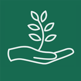 Rooted Physical Therapy APK