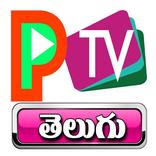 P Tv Live