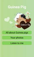 Guinea Pigs - all about 海報