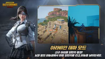 PUBG MOBILE KR poster