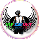 APK VIP ESPORTS