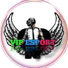 VIP ESPORTS icon