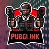 Pubglink APK