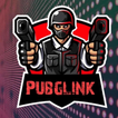 Pubglink ikona