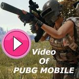 Video Of Pubg Mobile: Lite