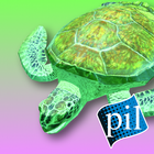 PI VR Coral Reefs icône